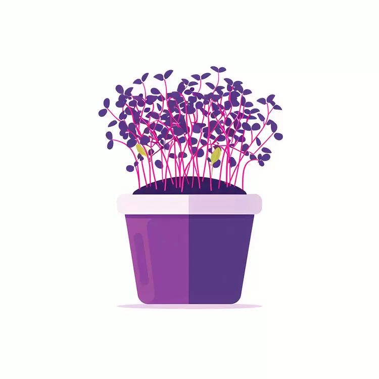 Vibrant Purple Sprouts in a Purple Pot