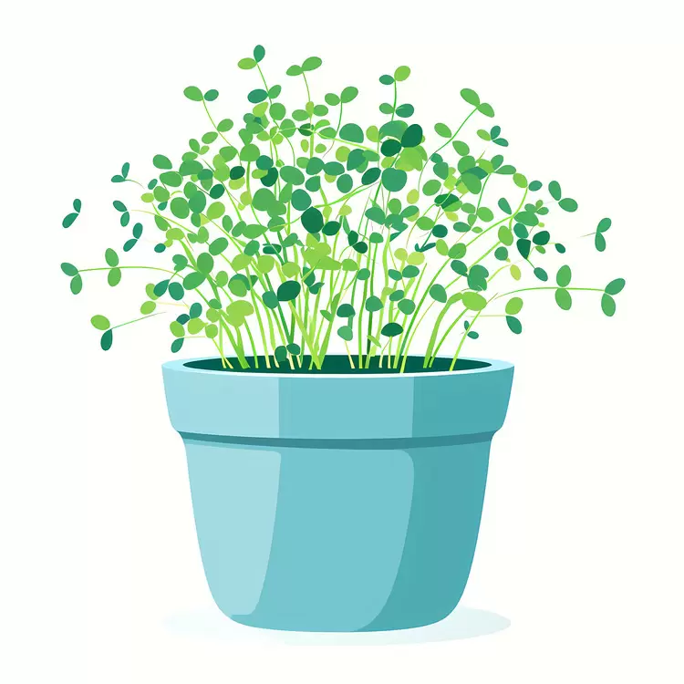 Green Potted Plant Illustration