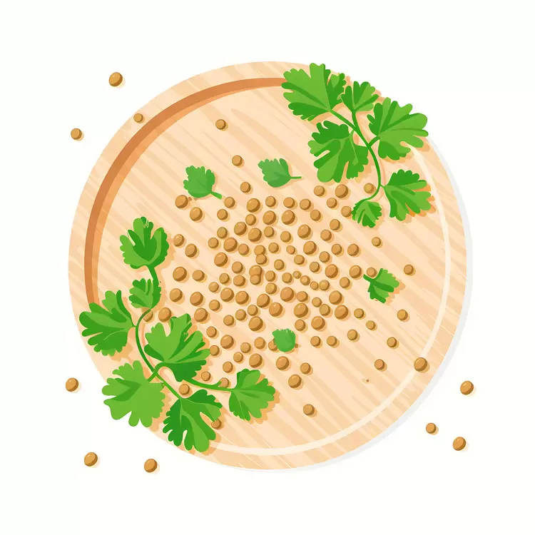 Coriander Seeds with Leaves on Plate
