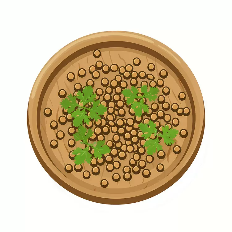 Coriander Seeds with Cilantro Leaves