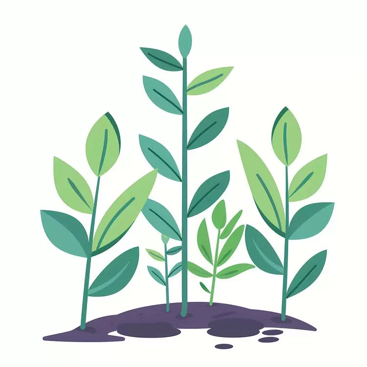 Diverse Green Plants in Soil