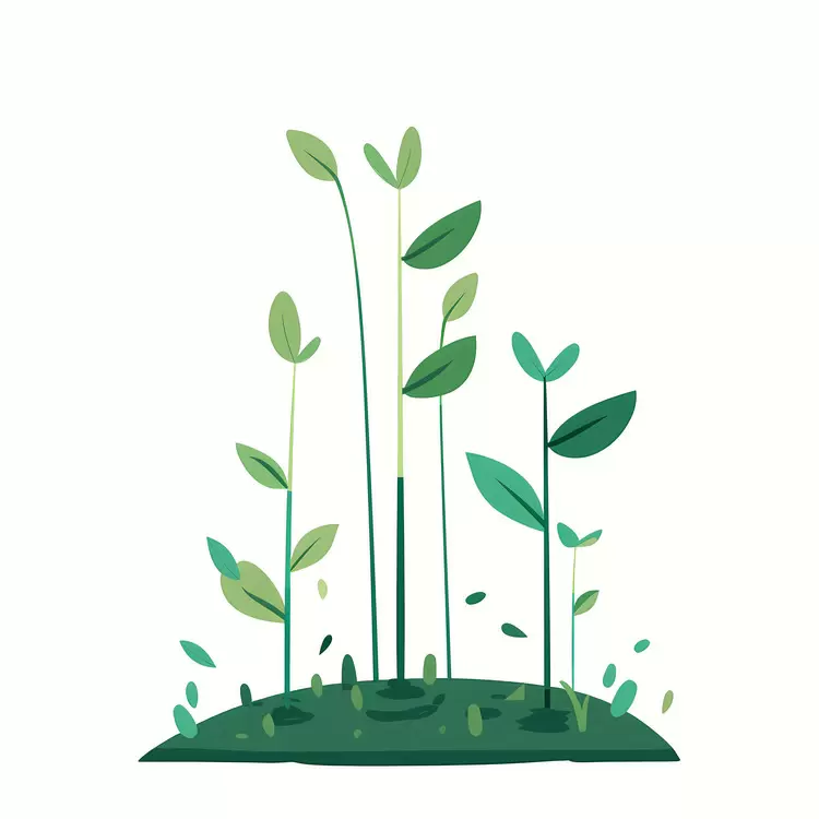 Sprouting Green Plants in Soil