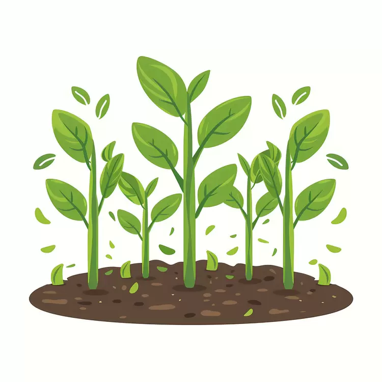 Growing Green Plants in Earth