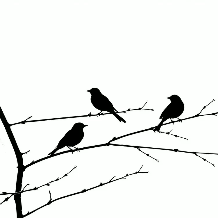 minimalistic birds sitting on a wire silhouette line drawing