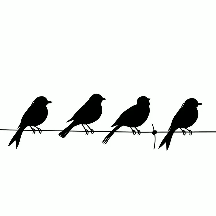 bird silhouette on a wire on a fence perched
