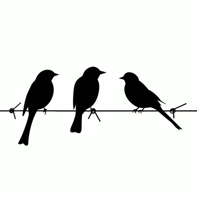 birds sitting on a wire perched flying black and white