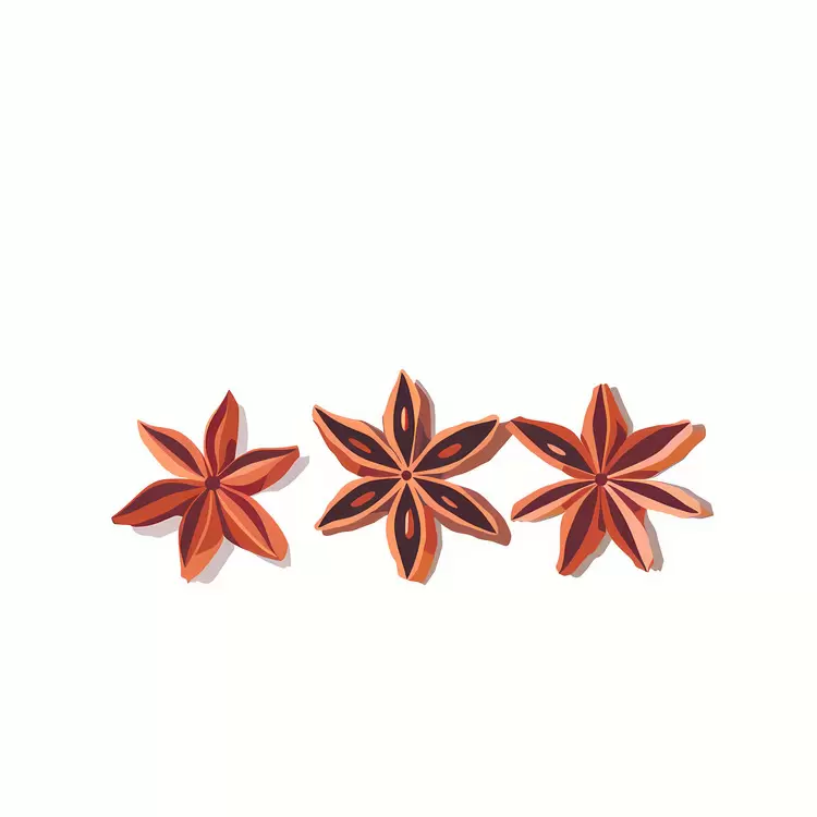 seeds Star Anise herbs flower