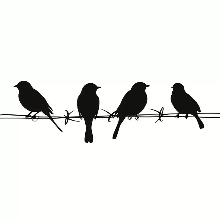 Barbed wire Rustic Wire fence Clean lines Simple