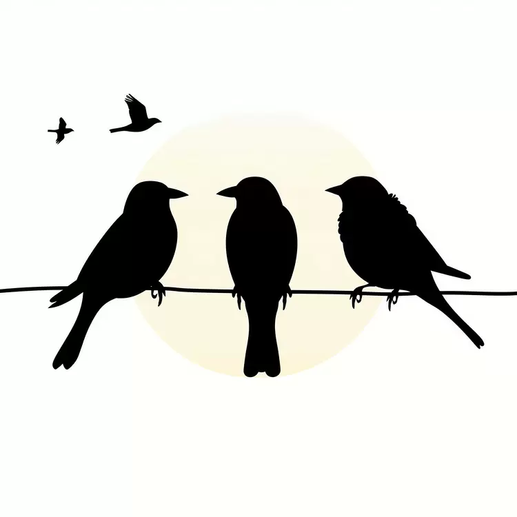 textured black and white wire on the ground sky in the background silhouettes of birds