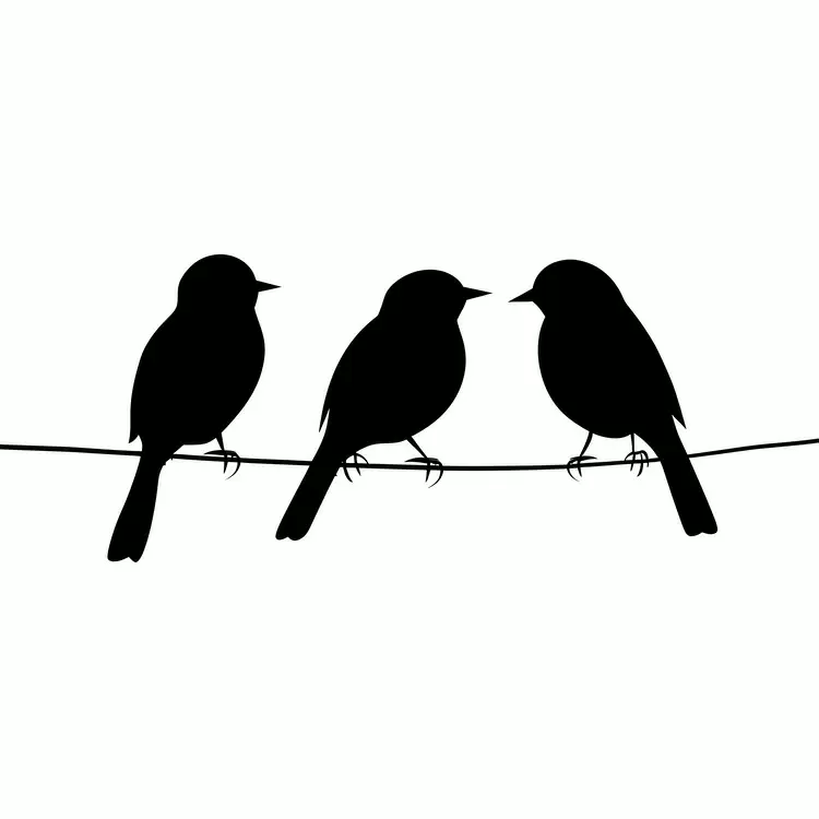 birds sitting on a wire Tension Two birds