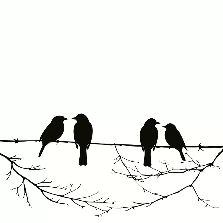 Black and White Silhouette birds sitting on a wire White Background