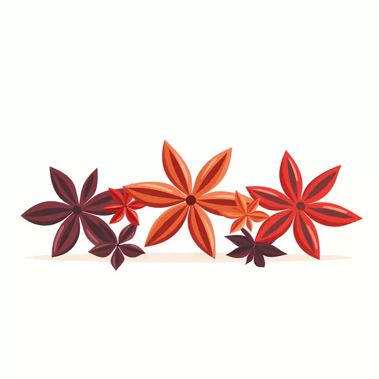 Flowers Red Fall Star Anise Seasonal