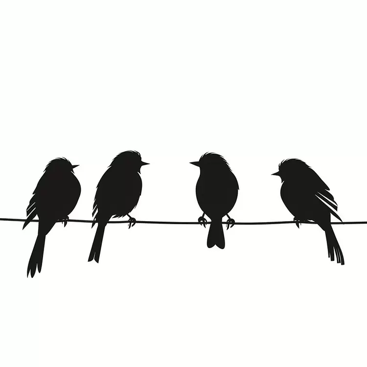 People birds sitting on a wire Seated Hanging
