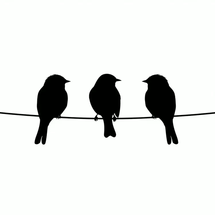 fluffy feathers perched silhouette birds sitting on a wire