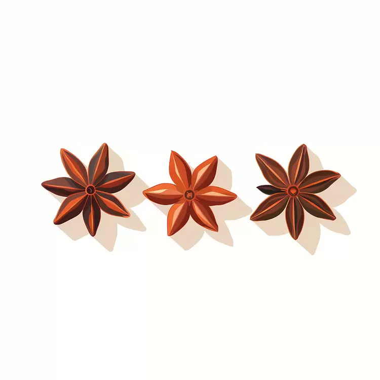 spice herb aromatic seed ground anise