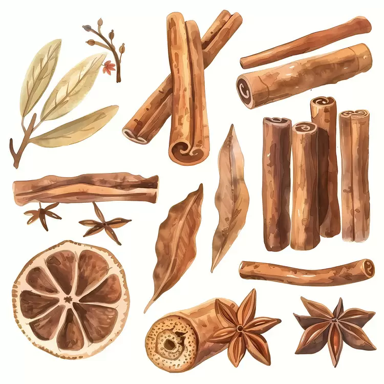 Cinnamon sticks Watercolor Spices Herbs