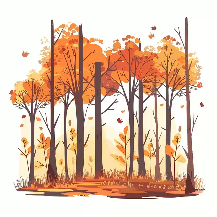 Autumn forest Seasonal Autumn forest Fall