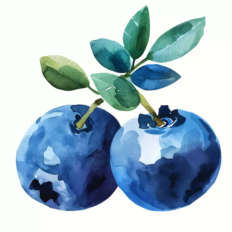 Summer berry season Colorful and delicious Nature in watercolor Healthy snack Blueberry