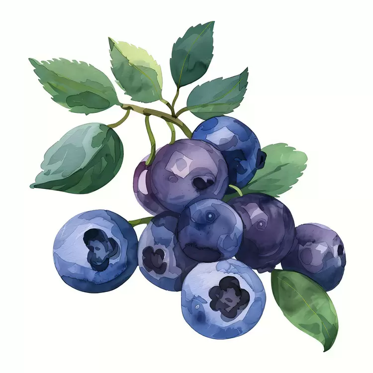 colorful juicy green leaves blue waxy skin