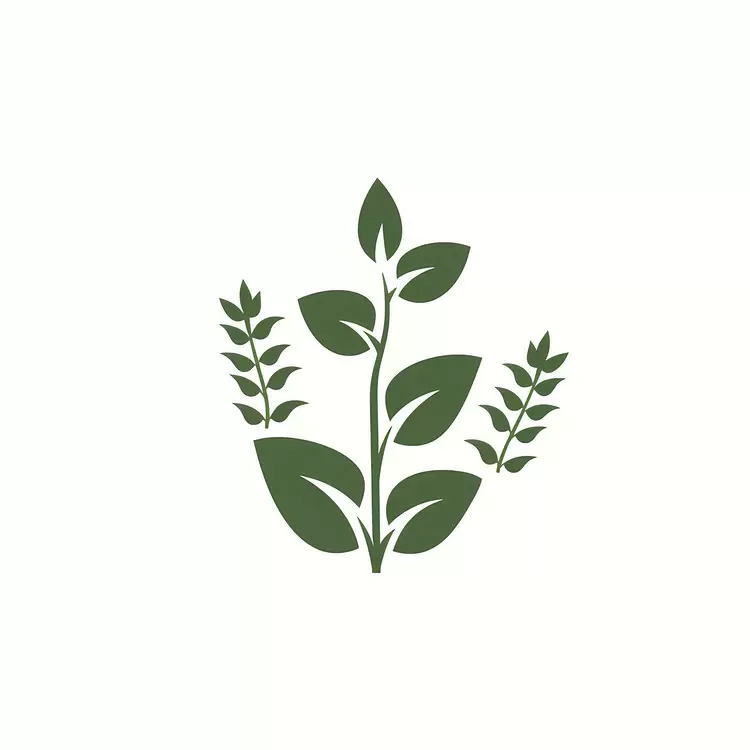 Nature Vegetable Plant Herb Botanical