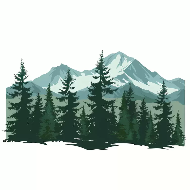 winter scenery pine trees stunning mountain forest