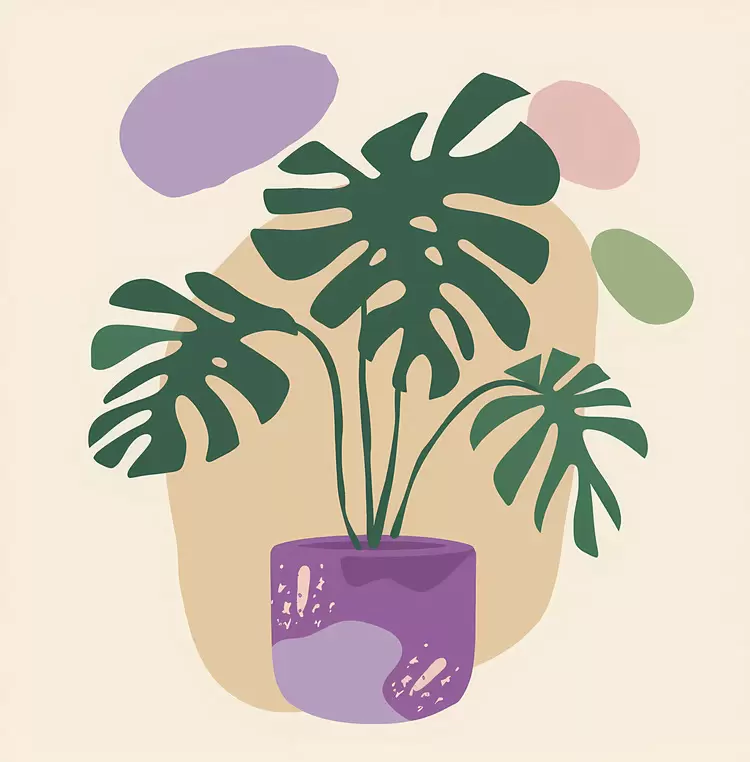 Tropical plant Indoor foliage Indoor plant Houseplant Monster plant