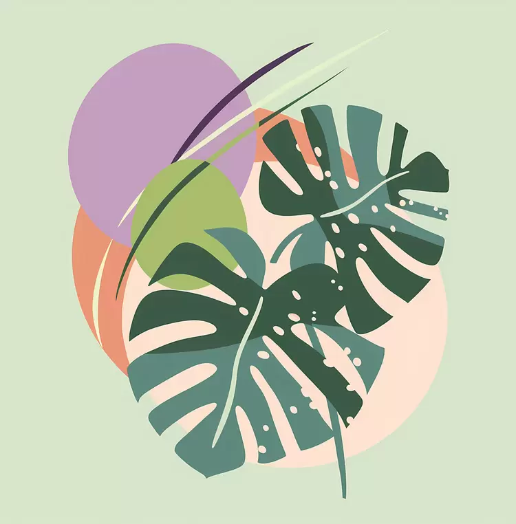 Bamboo Leaves monstera plant Foliage