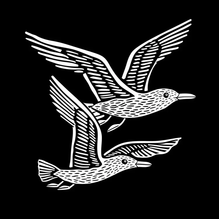 summer theme birds in motion black and white illustrations seagulls soaring birds