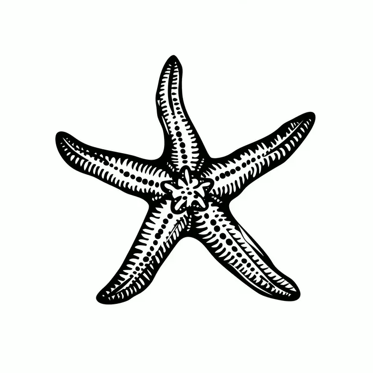 Seafood MarineLife Water Beach Bead