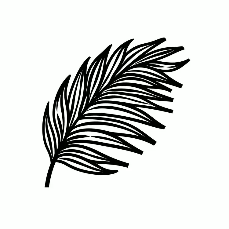 Leaf design Palm tree leaf Banana palm leaf Coco nut palm leaf Coconut palm leaf