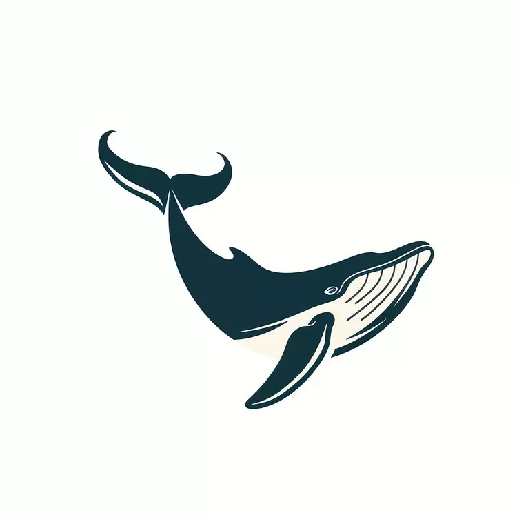 Whale Watching