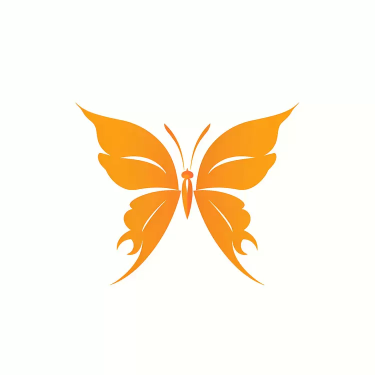 butterfly