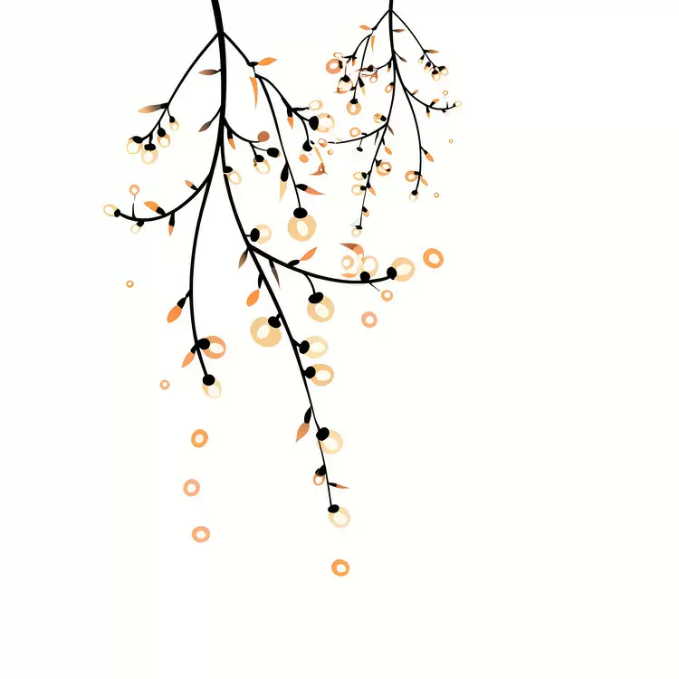 Fairy Lights