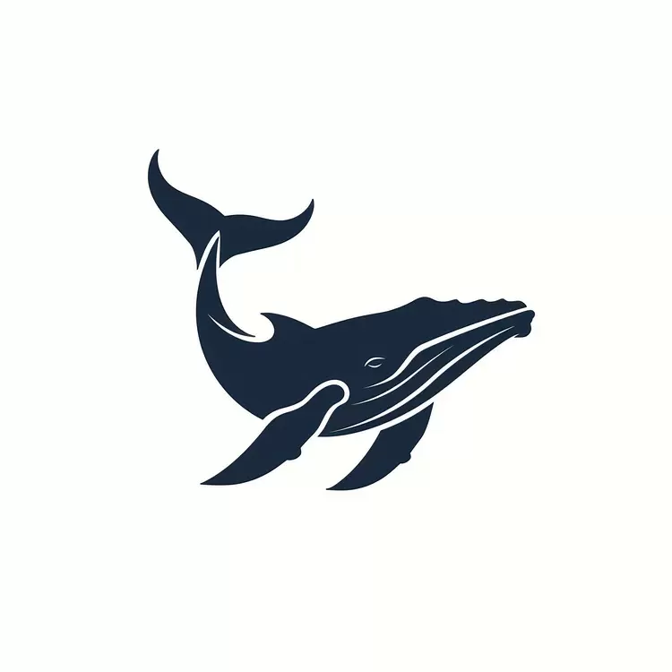 Whale Watching