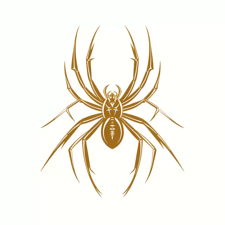 spider