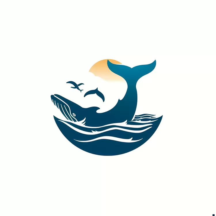 Whale Watching