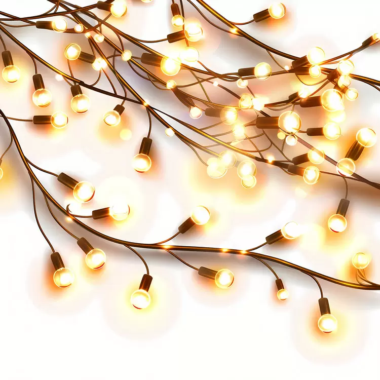 Fairy Lights