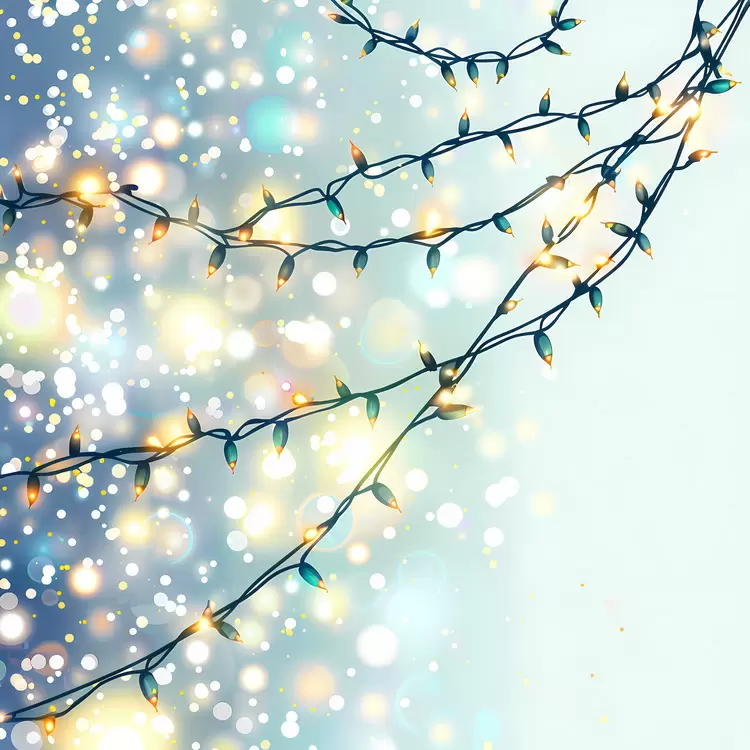 Fairy Lights