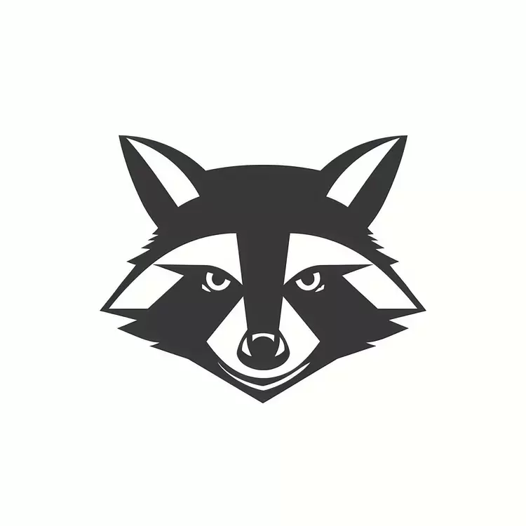 racoon