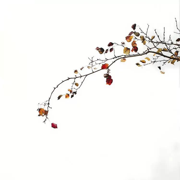 Autumn begins