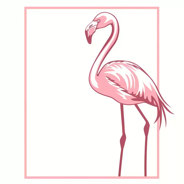 flamingo