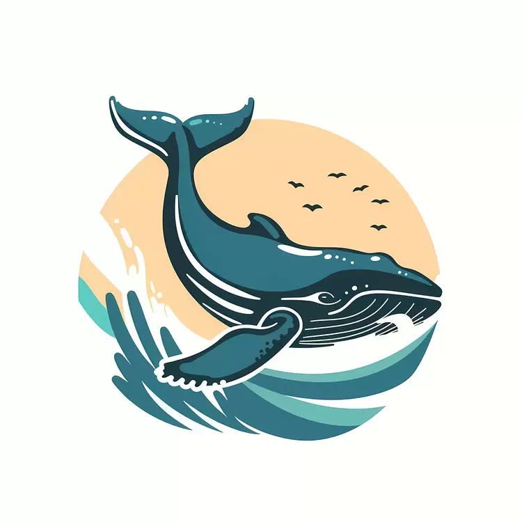 Whale Watching