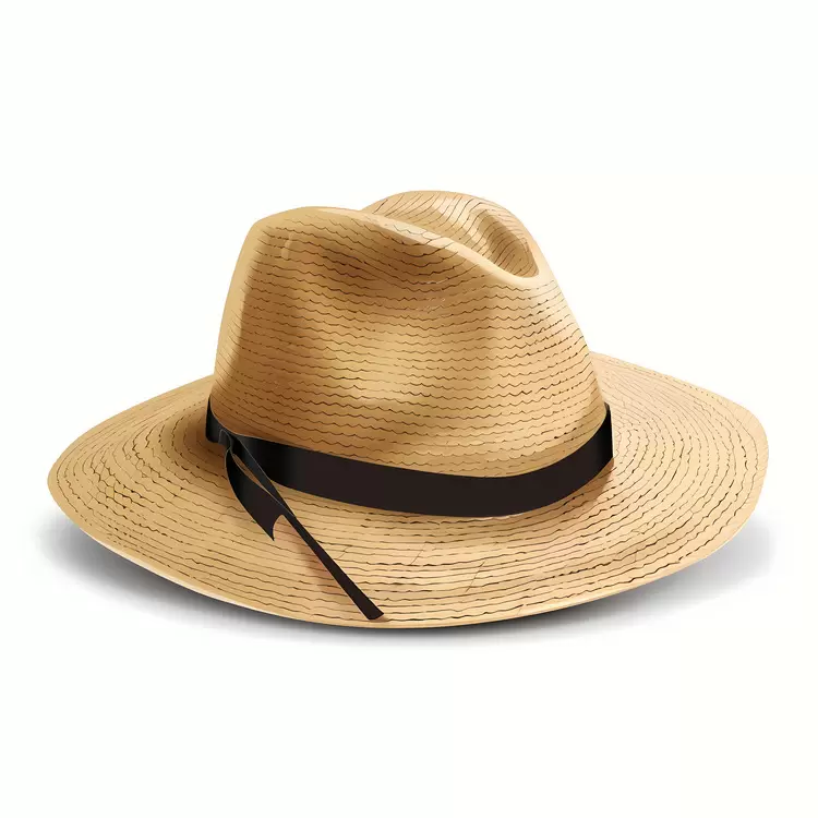 Panama Hat