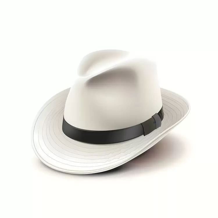 Fedora
