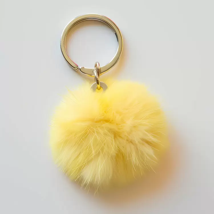 keyring