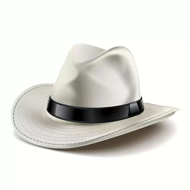 Fedora
