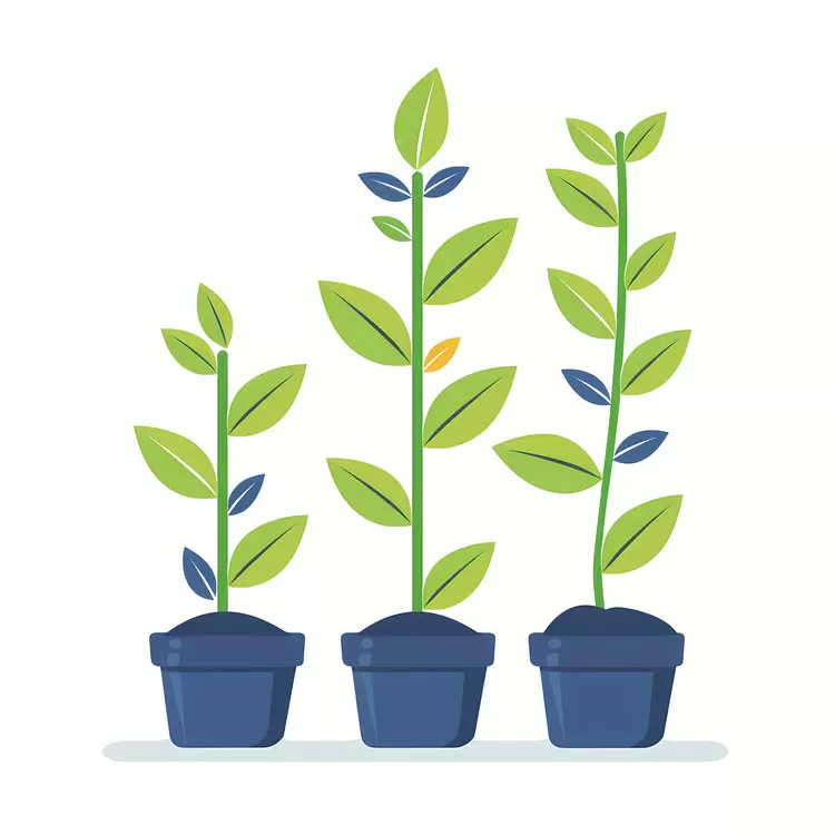 growth