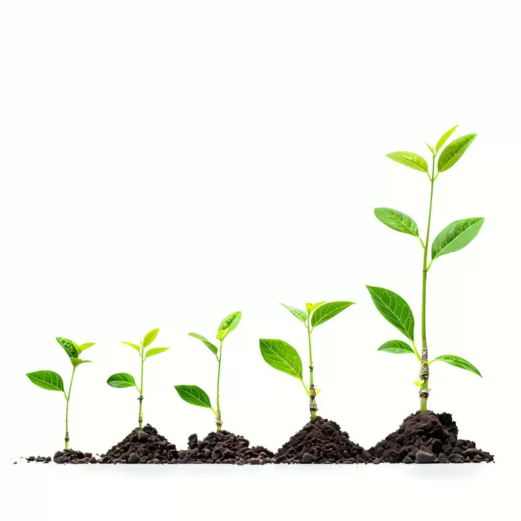 growth