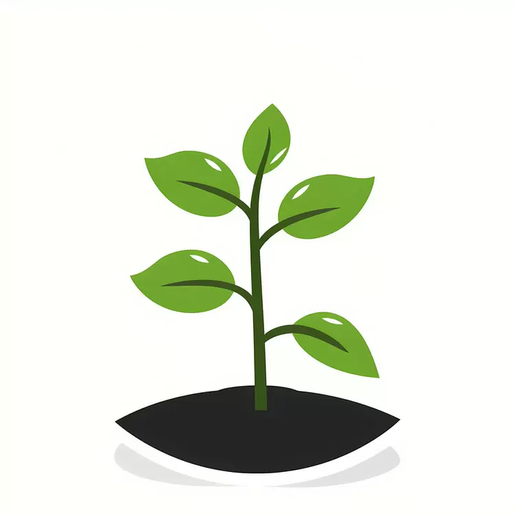 growth