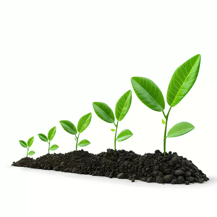 growth